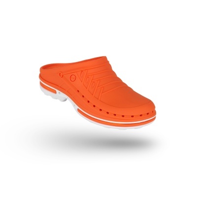 CLOG 05 - BRANCAS/LARANJA