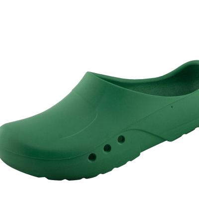 CHIROCLOGS ECONOMY - VERDE