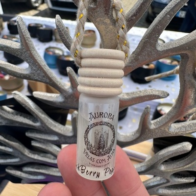 Ambientadores Líquidos