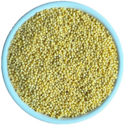 Millet Bio
