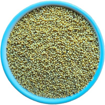 Mustard Seeds