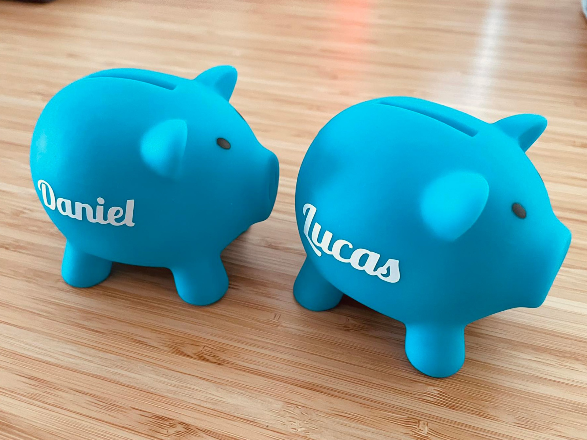 Porquinho Mealheiro Personalizado.