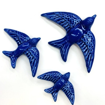 Andorinha Azul Cobalto (M)