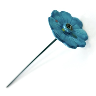 Zínia Azul Turquesa