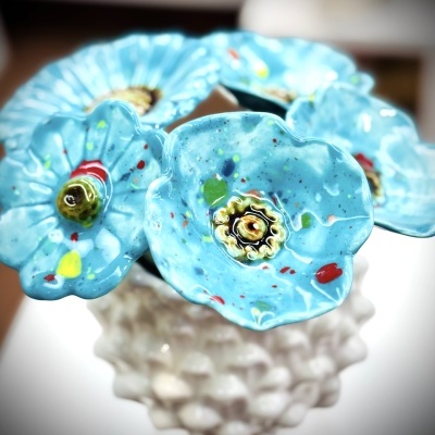 Papoila Azul Turquesa