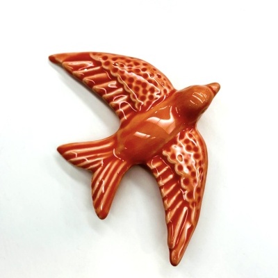 Andorinha Salmão (L)