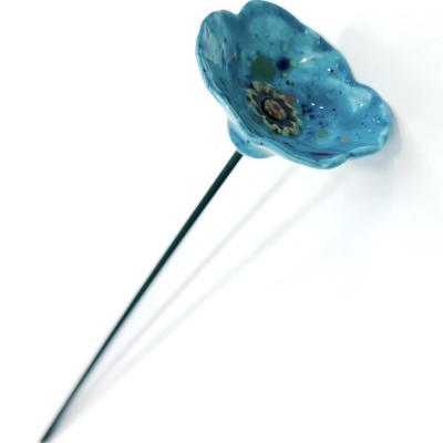 Papoila Azul Turquesa