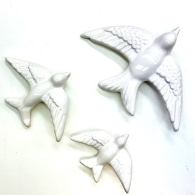 Andorinha Branco (M)