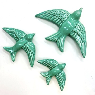 Andorinha Verde Turquesa (M)