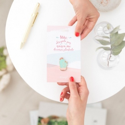 Mr Wonderful  pin "Mãe obrigada por nunca me deixares plantado"