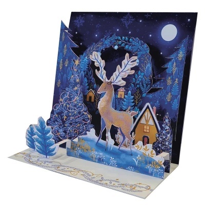 Postal Pop Up Natal rena