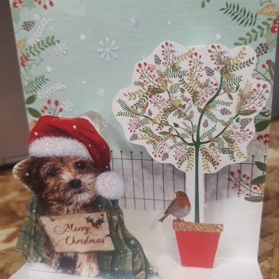 Postal Pop Up Natal peq. cão