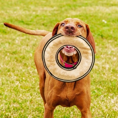 FunnyZoo brinquedo cão Frisbee