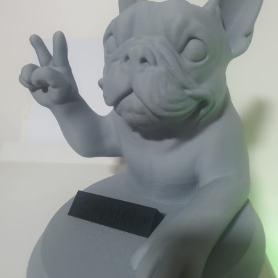 Cão Bulldog Cool com base e nome