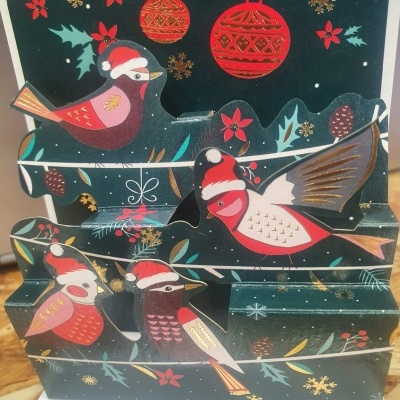 Postal Pop Up Natal peq. pássaros