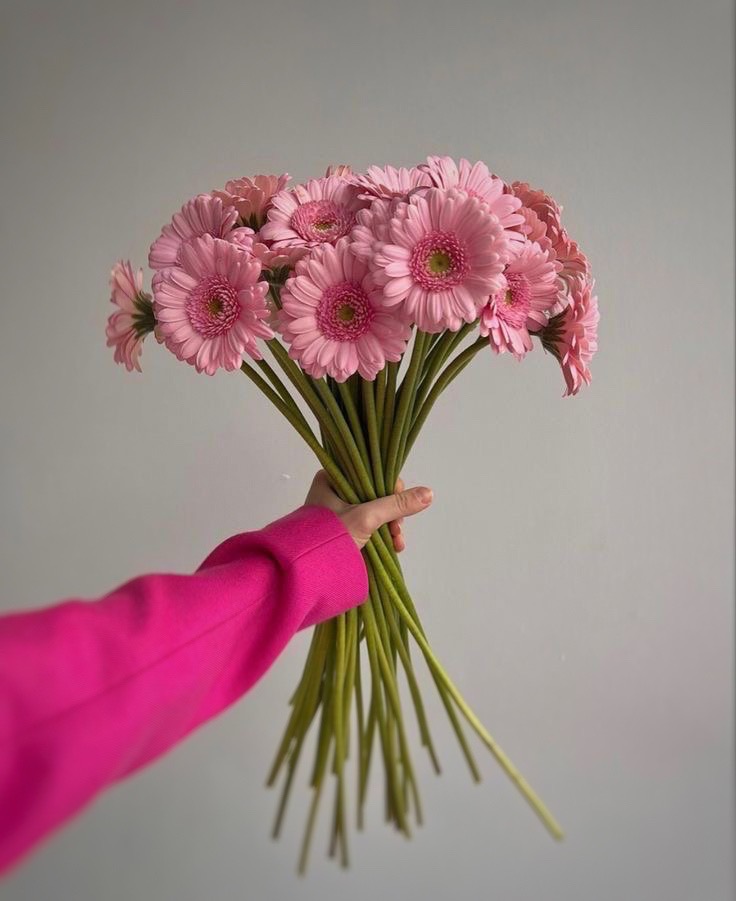 Coleção Dia da Mãe