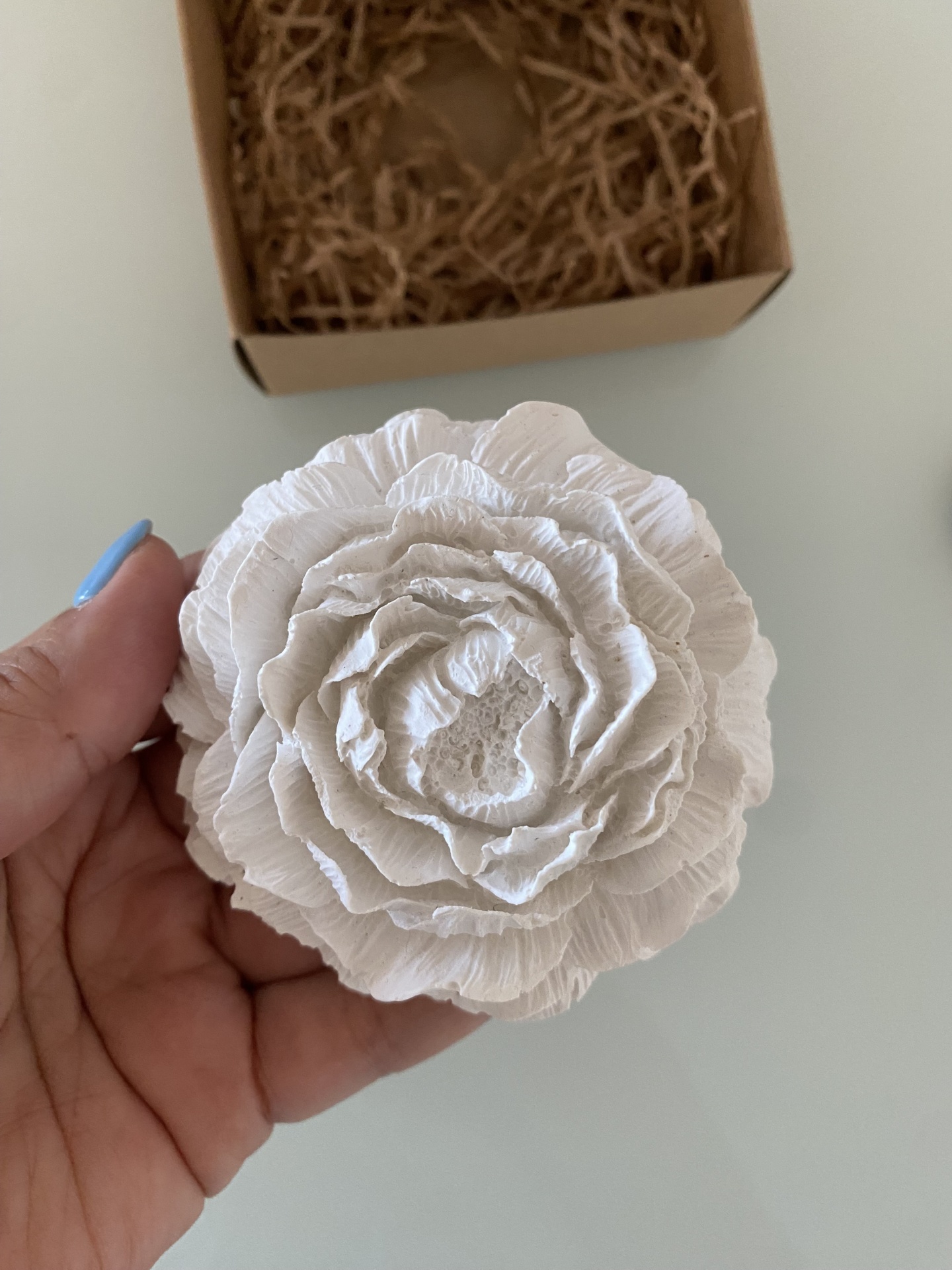 Lembrança - Peônia Gesso perfumado