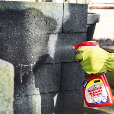 Removedor de Bolores e Fungos com Cloro Removedor de Bolores e Fungos com Cloro