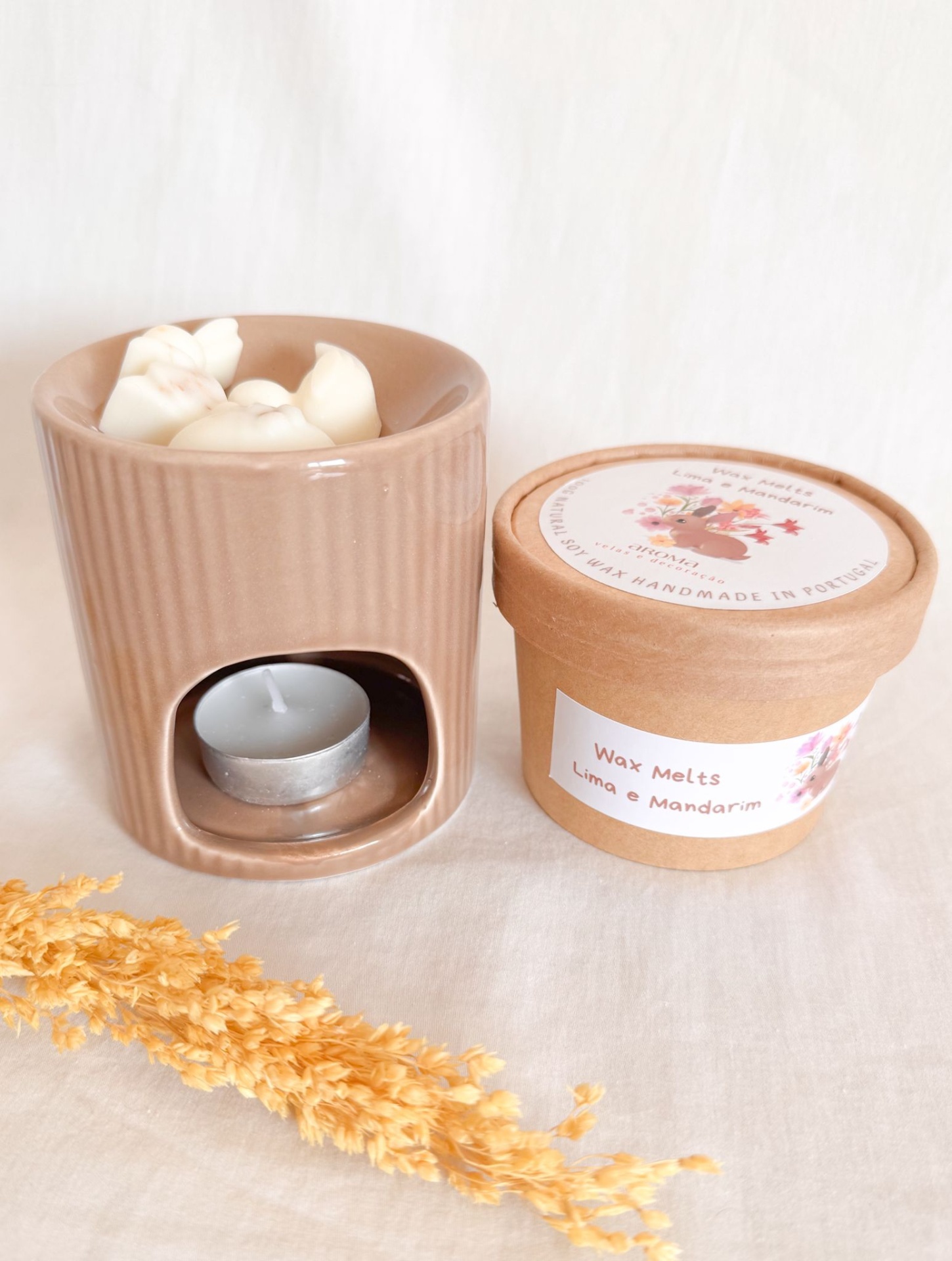 Conjunto Wax Melts