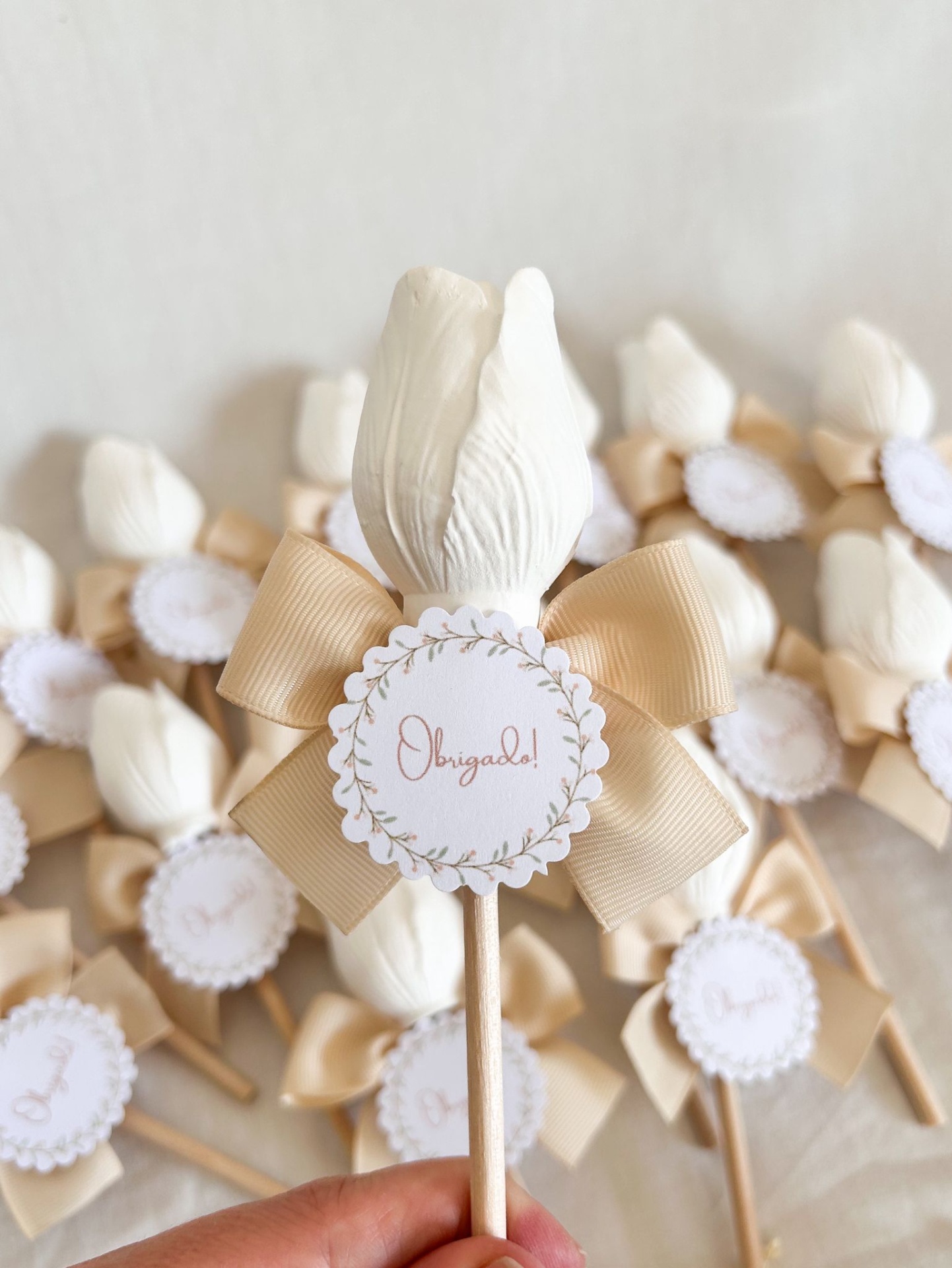 Ramo com Túlipa em gesso