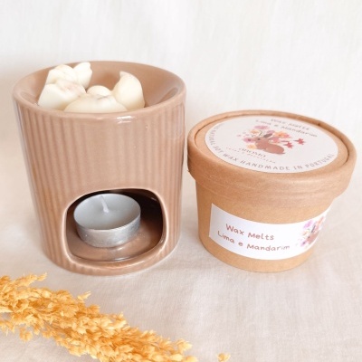 Conjunto Wax Melts