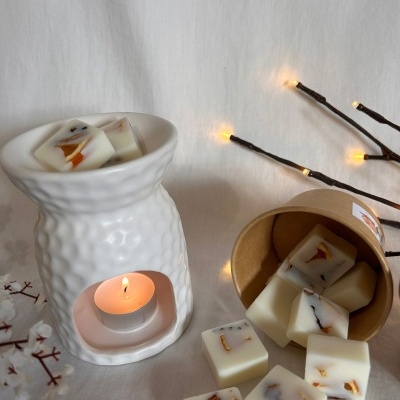 Wax Melts