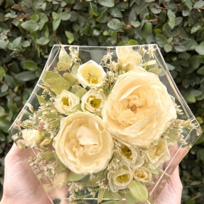Preservações de flores