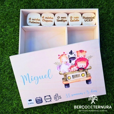 Caixa recordações animais da selva