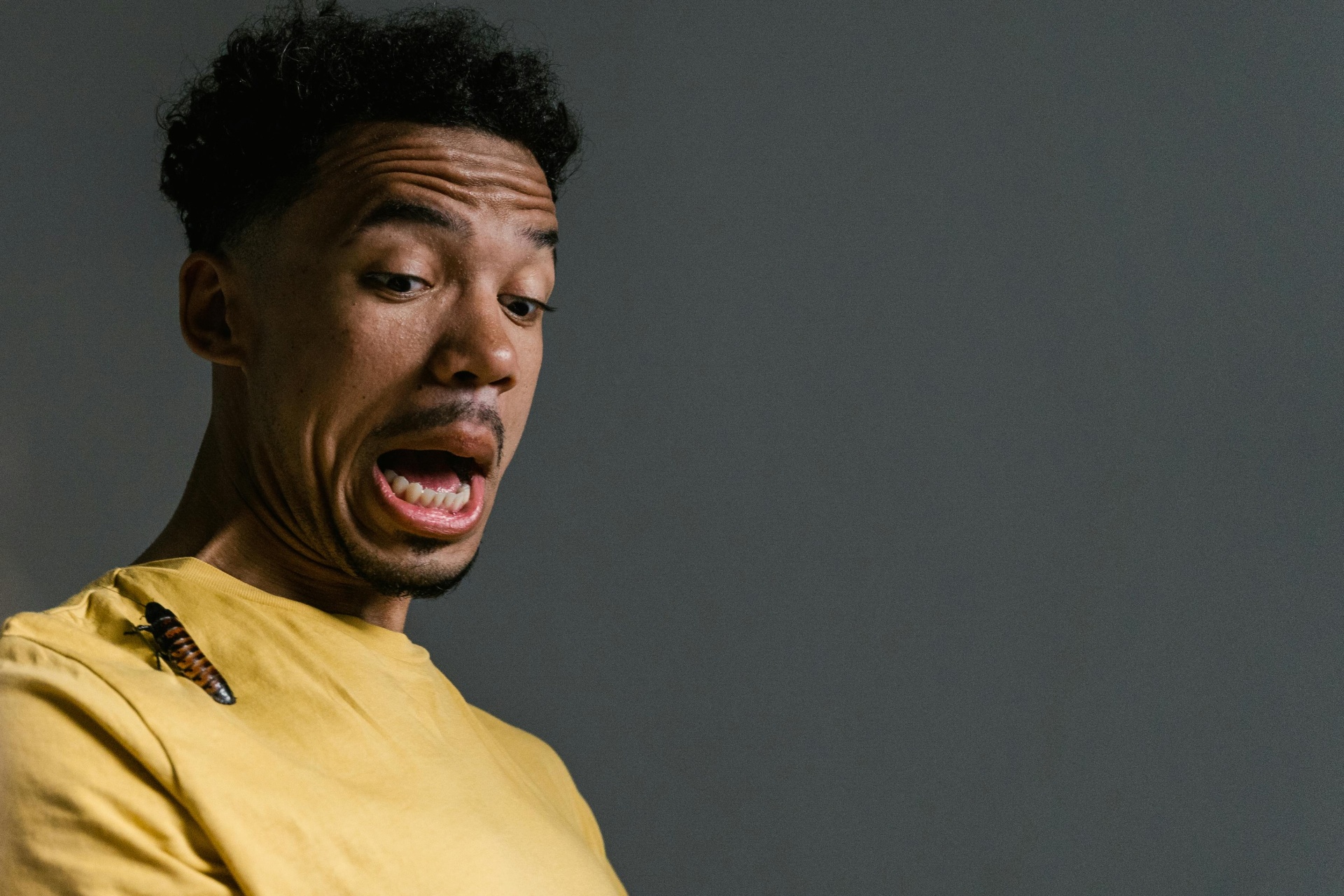 Dicas infalíveis para acabar com as baratas