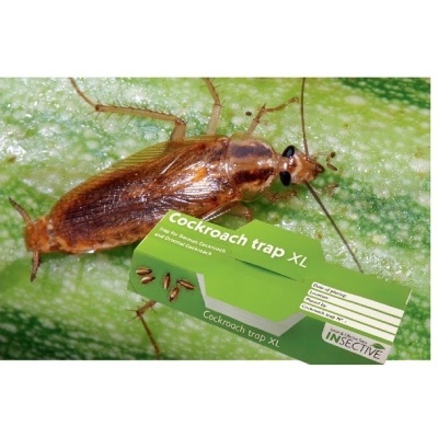 Armadilha XL Baratas