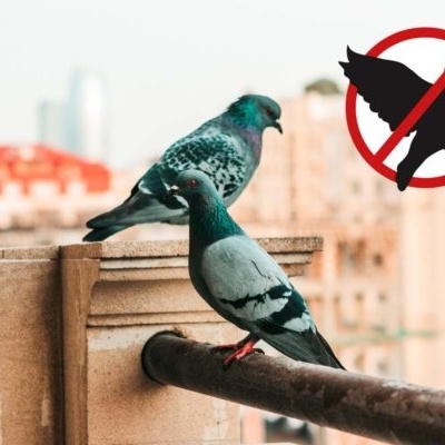 Kit Nebulizador Anti Pombos