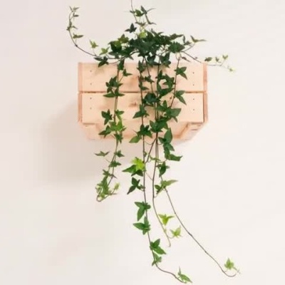 Droplet Plant Kit 🌱