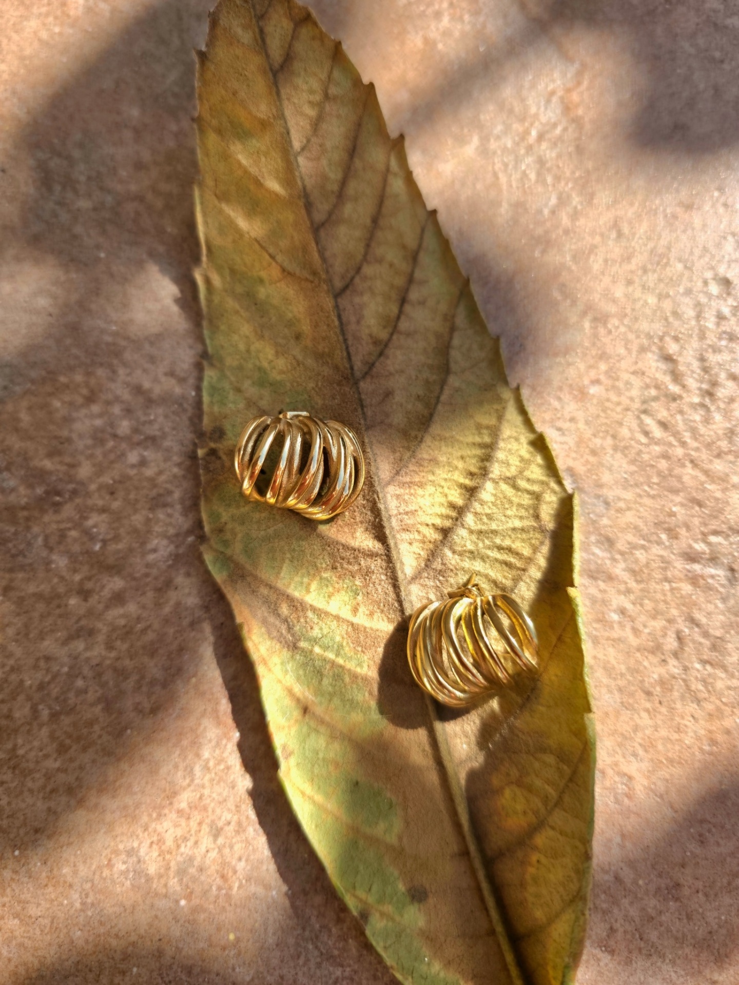 Brincos Eternia