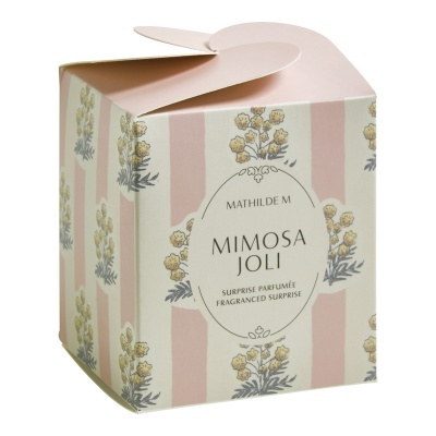 Coffret Mimosa Joli