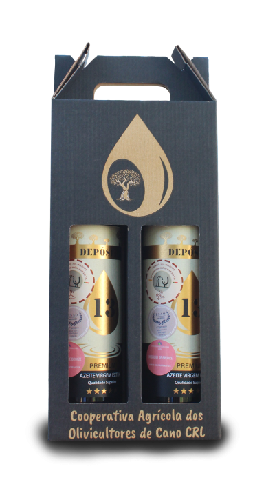 Caixa Depósito 13 Premium