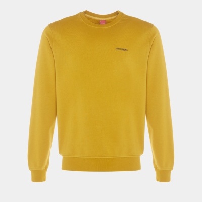 Sweater decote redondo Lion of Porches