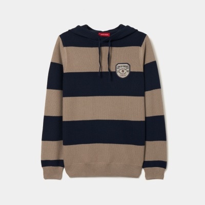 Camisola com capuz às riscas Lion of Porches