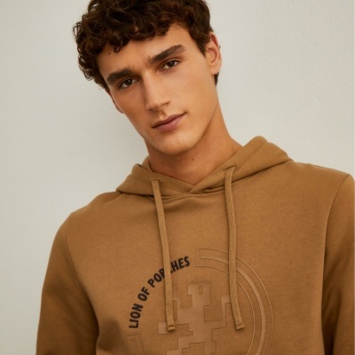 Sweater com capuz Lion of Porches