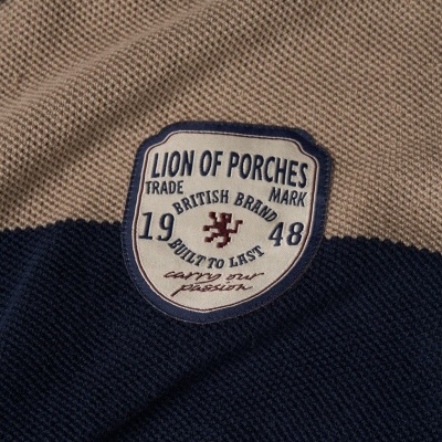 Camisola com capuz às riscas Lion of Porches