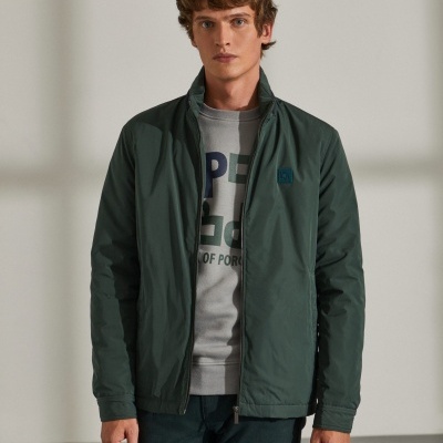 Blusão acolchoado com capuz Lion of Porches