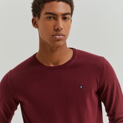 Camisola básica em algodão e caxemira Lion of Porches