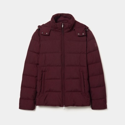 Blusão acolchoado com capuz  Lion of Porches