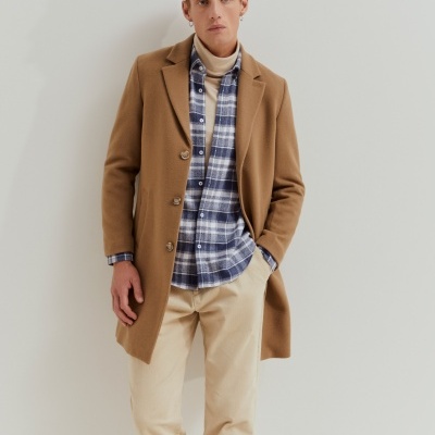 Sobretudo Lion of Porches