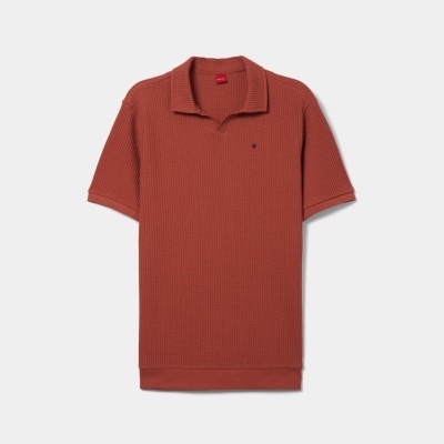 Polo de manga curta em malha de algodão Lion of Porches