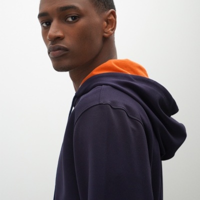 Sweat manga comprida com capuz Lion of Porches