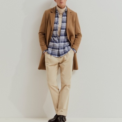 Sobretudo Lion of Porches