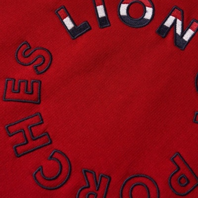 Sweater de algodão com capuz Lion of Porches