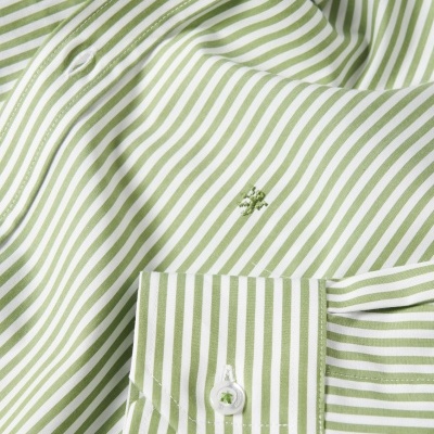 Camisa regular fit às riscas de algodão Lion of Porches