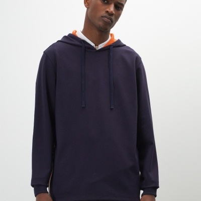 Sweat manga comprida com capuz Lion of Porches