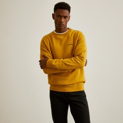 Sweater decote redondo Lion of Porches